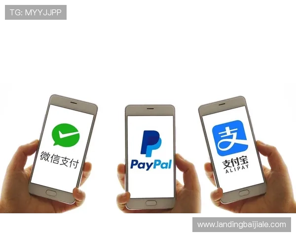 专业分析ag捕鱼官网是多少平台的安全性和支付保障措施