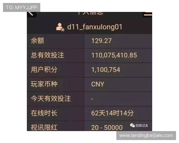 掌握AG百家乐技巧与打法提升你的赢钱几率全面解析