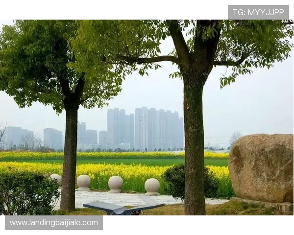 开云真人进入的官方入口地址有哪些,确保玩家安全登录避免钓鱼网站风险 开云真人进入的官方入口地址有哪些,确保玩家安全登录避免钓鱼网站风险