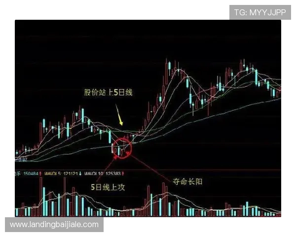 如何选择合适的K8视讯倍投方案保障资金安全与收益 如何选择合适的K8视讯倍投方案保障资金安全与收益
